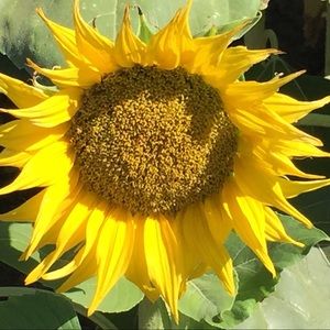 Meet your Posher, Tara